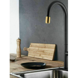Μπαταρία Κουζίνας με ντους Armando Vicario Tozo 48780-400201 Black Matt Brushed Gold Μπαταρία Κουζίνας με ντους Armando Vicario Tozo 48780-400201 Black Matt Brushed Gold
